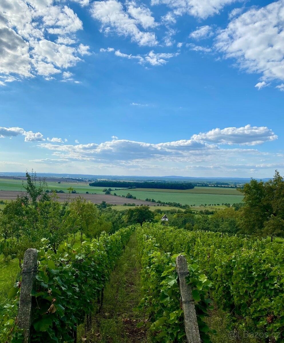 Chaty, Strážnice, 696 62