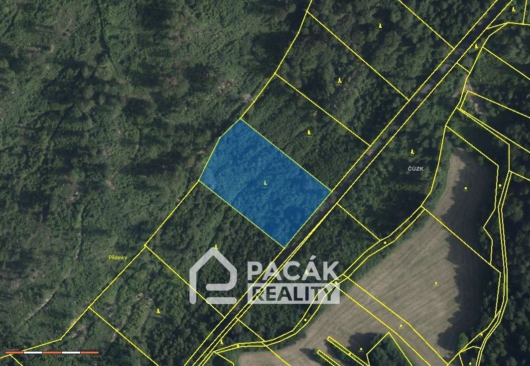 Lesy, Dolany, 41 845 m²