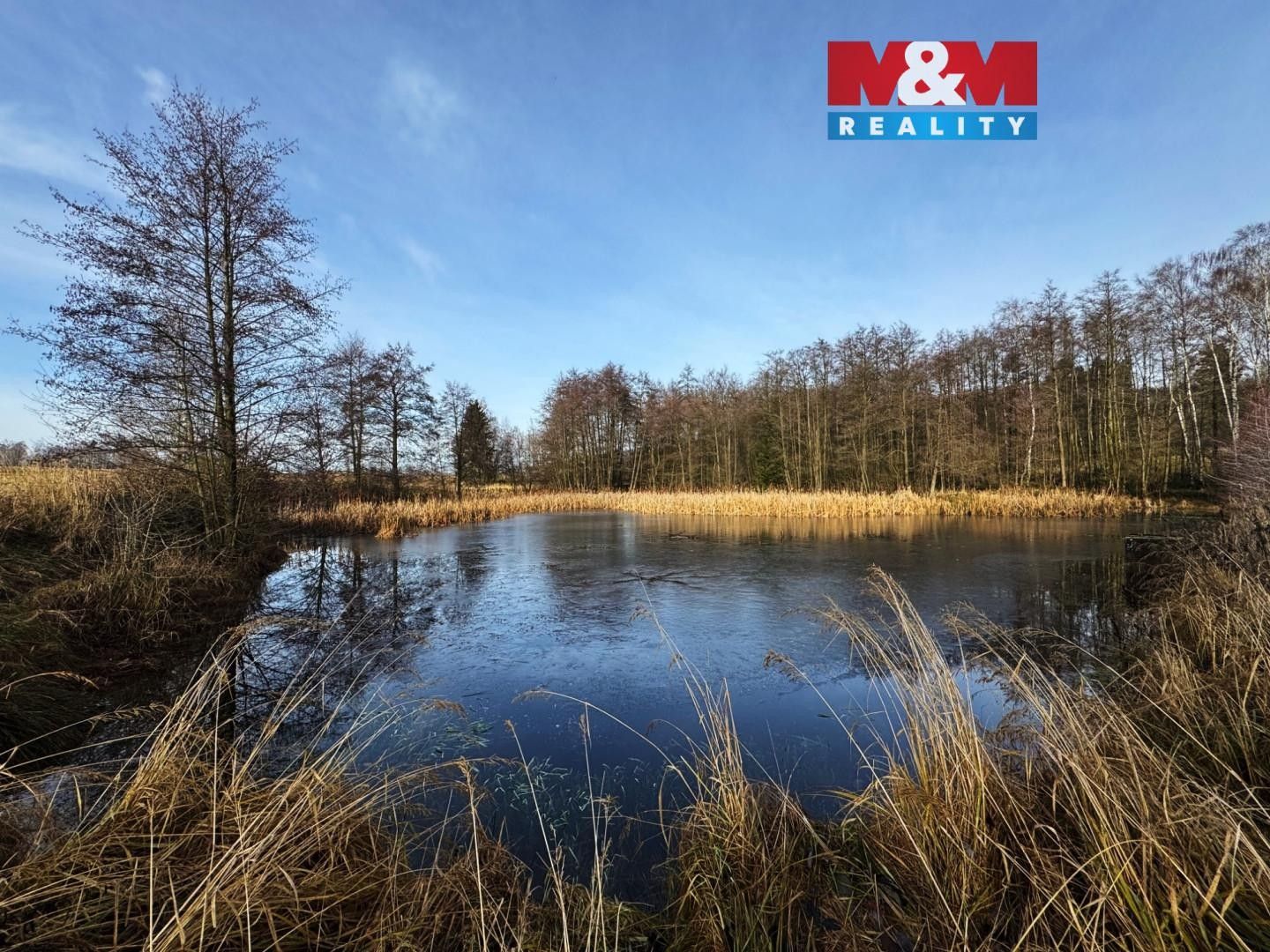 Rybníky, Velká Losenice