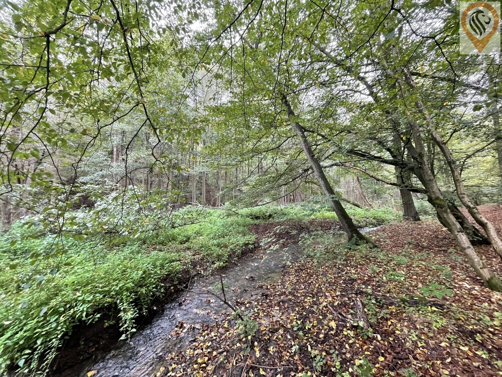 Lesy, Svárov, 8 m²