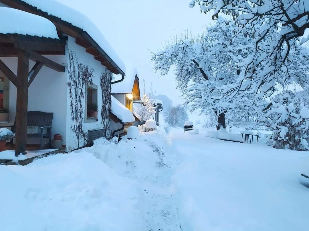 Pronájem restaurace - Počátky, 394 64