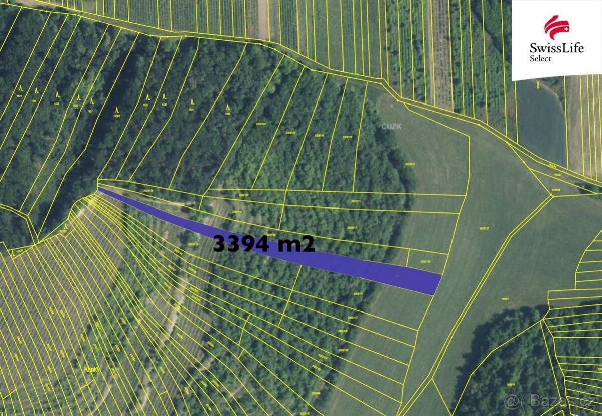 Zemědělské pozemky, Brumovice na Moravě, 691 11, 3 394 m²