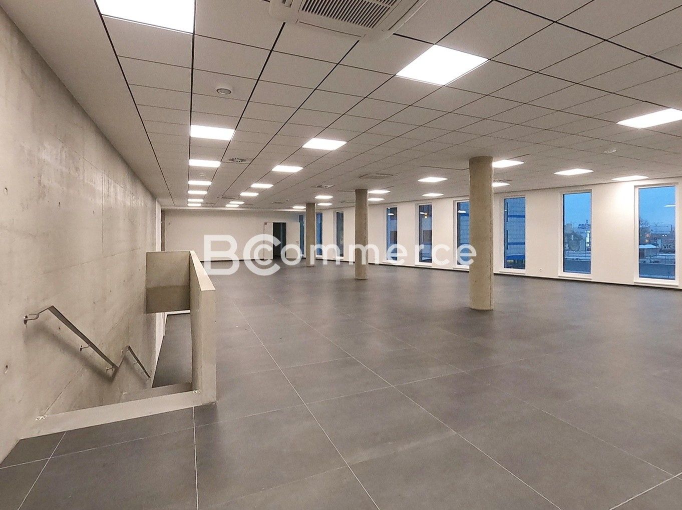 Obchodní prostory, Polní, Brno, 460 m²