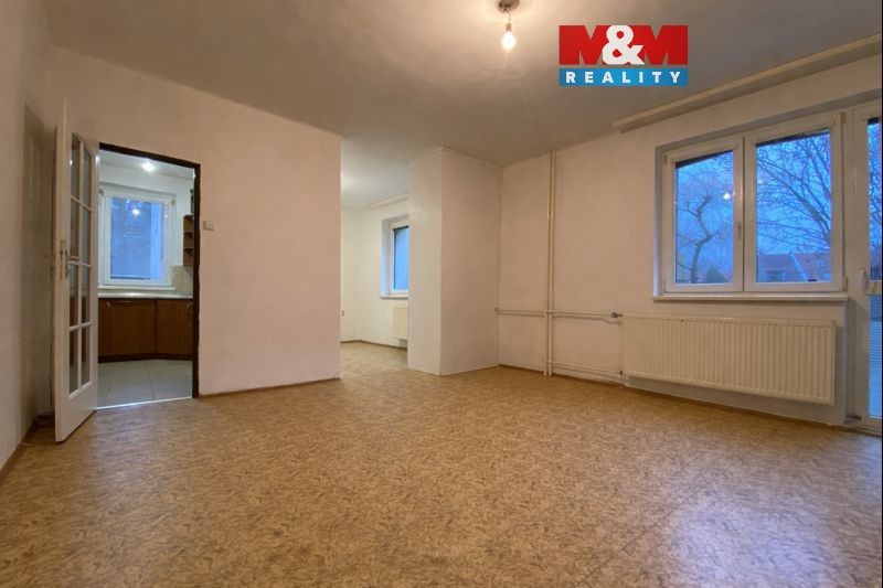 1+1, Dr. Trippé, Kostelec nad Černými lesy, 37 m²