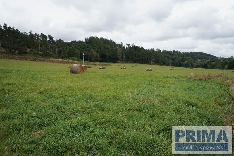 Prodej pozemek - Planá u Mariánských Lázní, 348 15, 35 722 m²