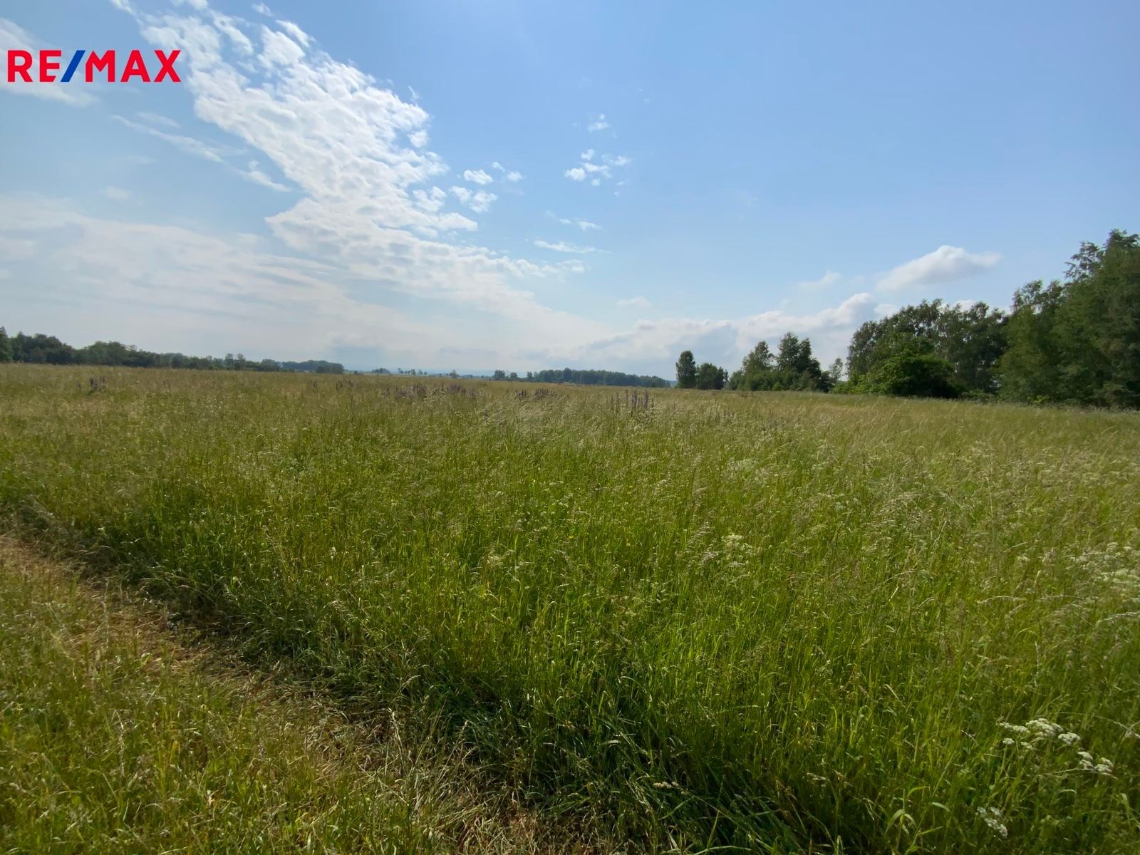 Prodej louka - Skalná, 107 m²