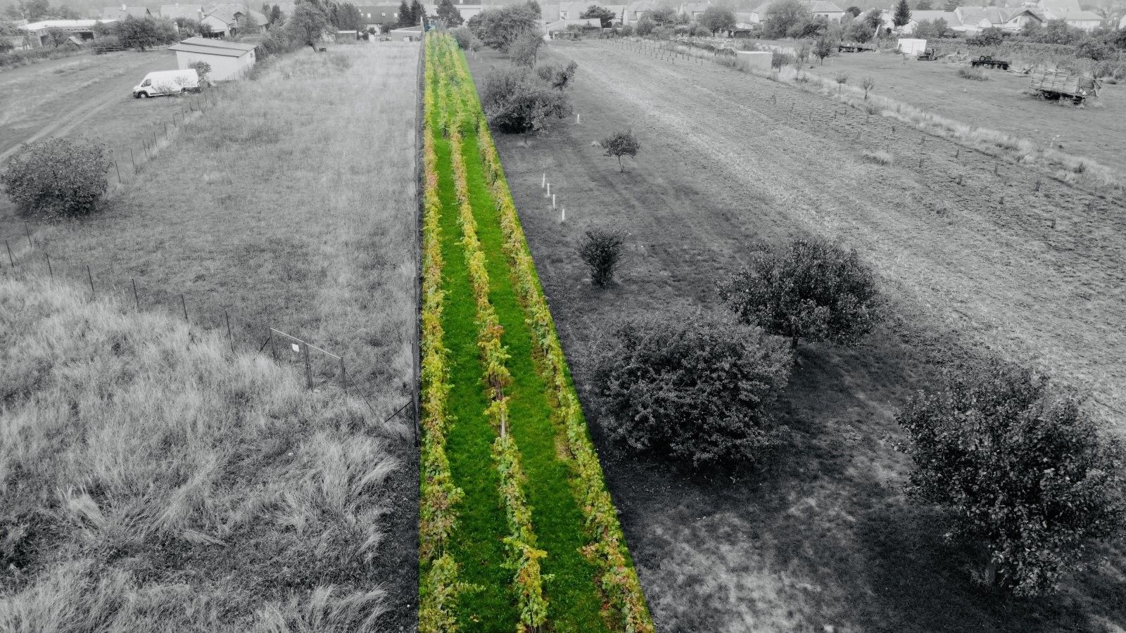 Ostatní, Týnec, 1 237 m²