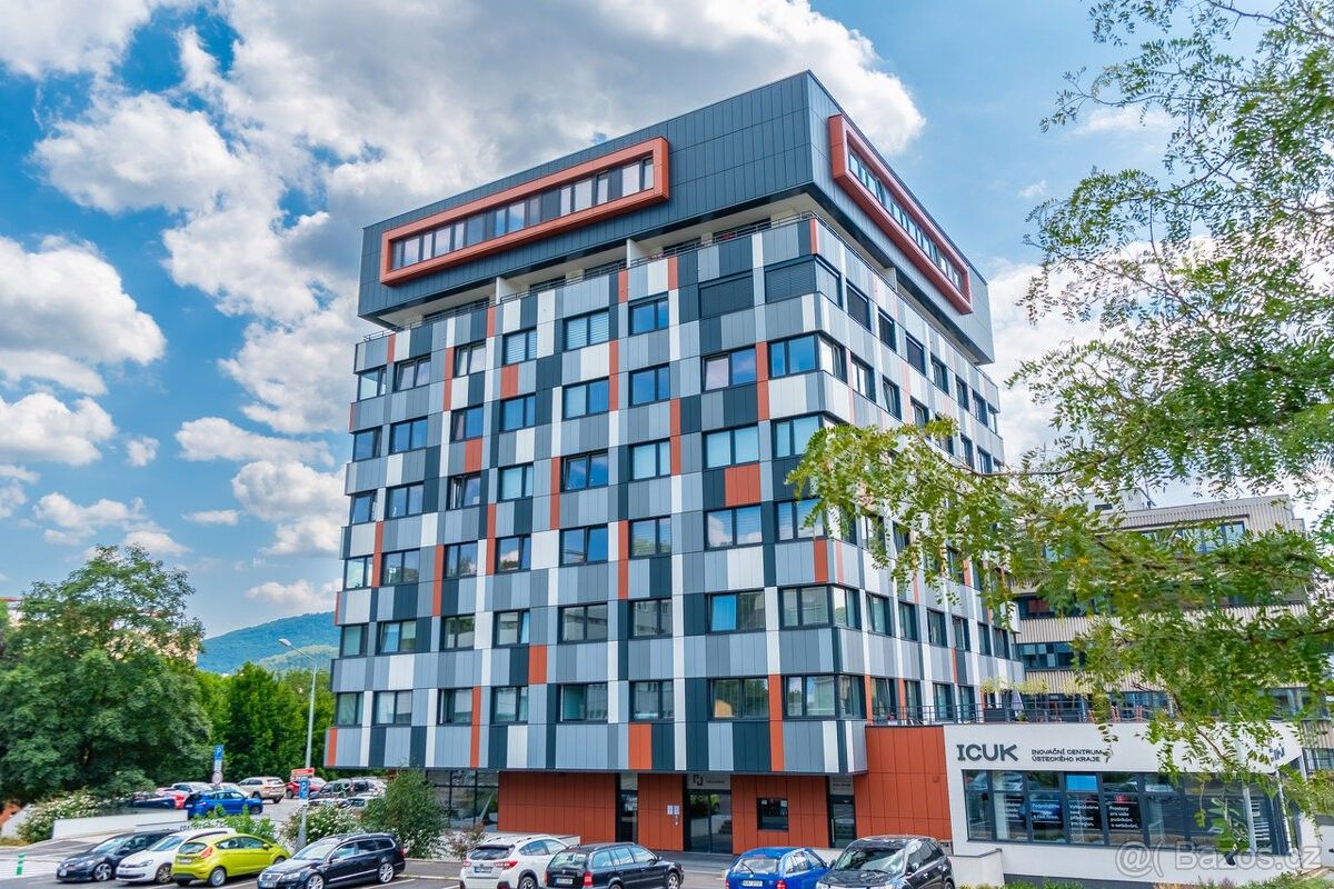 1+kk, Ústí nad Labem, 400 01, 30 m²