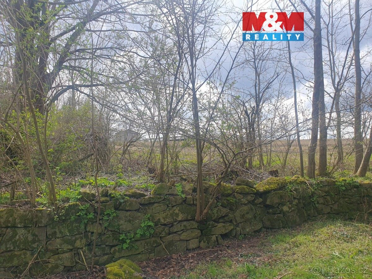 Prodej zemědělský pozemek - Nepomuk, 335 01, 1 818 m²