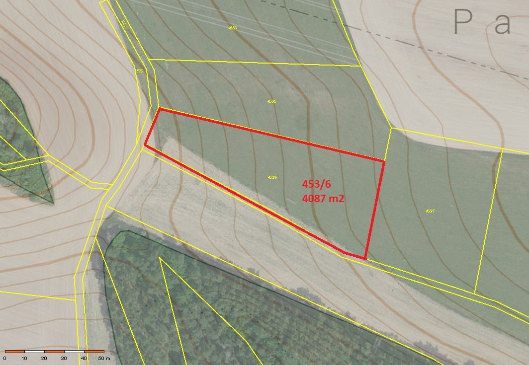 Prodej zemědělský pozemek - Nečín, 38 110 m²