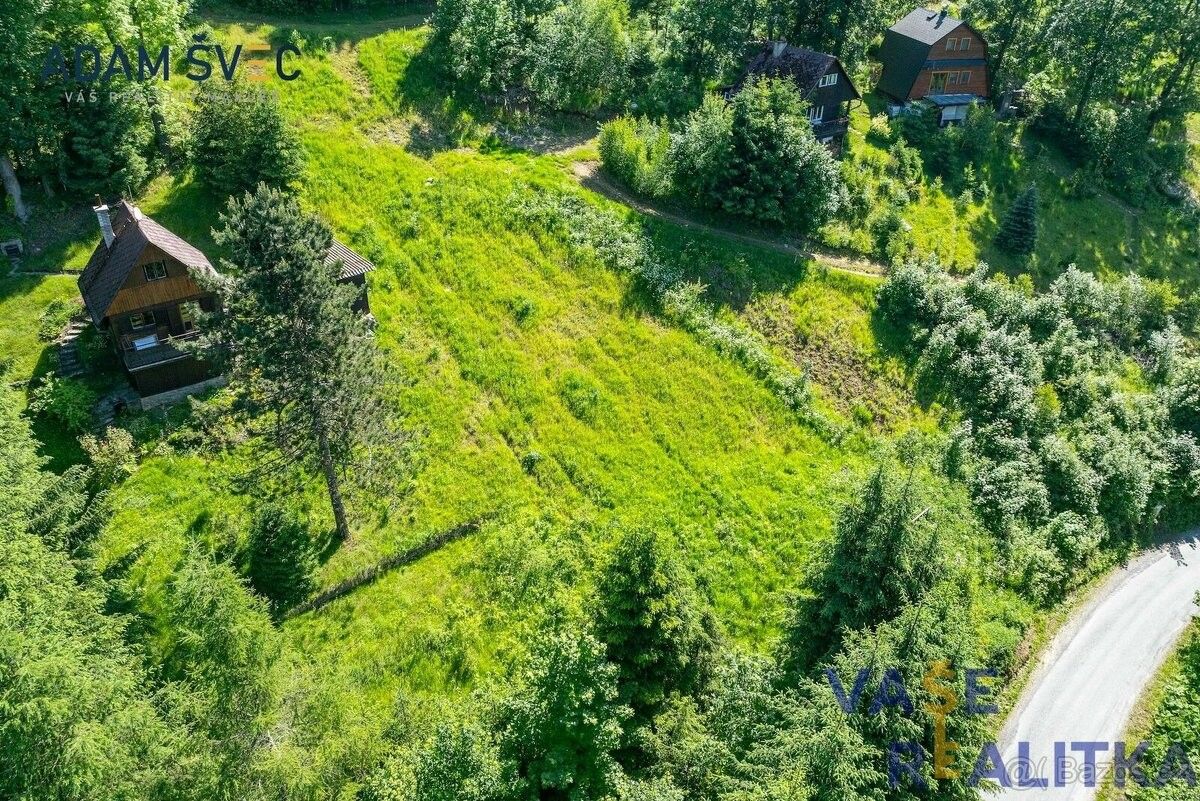 Prodej pozemek pro bydlení - Staré Město pod Sněžníkem, 788 32, 1 201 m²