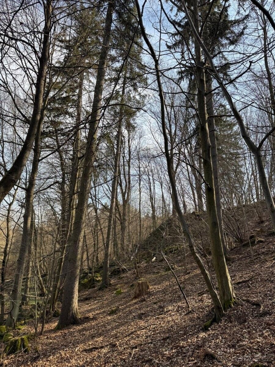 Pozemky pro bydlení, Louňovice pod Blaníkem, 257 06