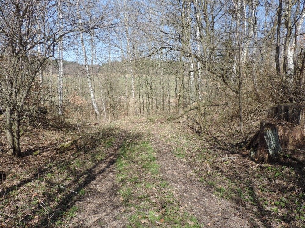 Zemědělské pozemky, Hamr u České Lípy, 471 28, 5 056 m²