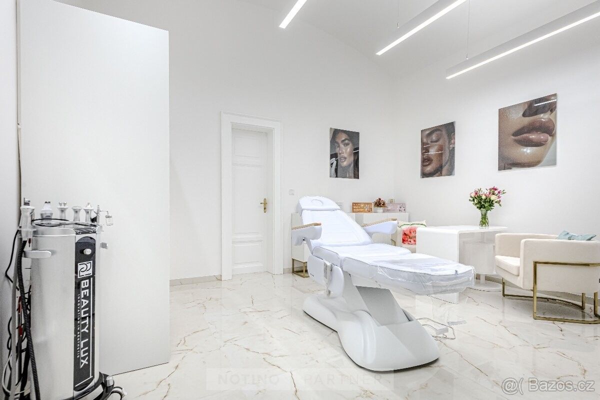 Obchodní prostory, Praha, 110 00