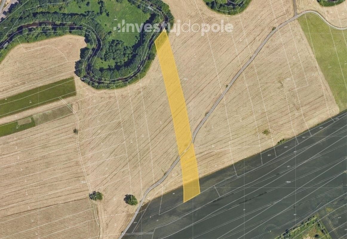 Louky, Plzeň, 2 204 m²