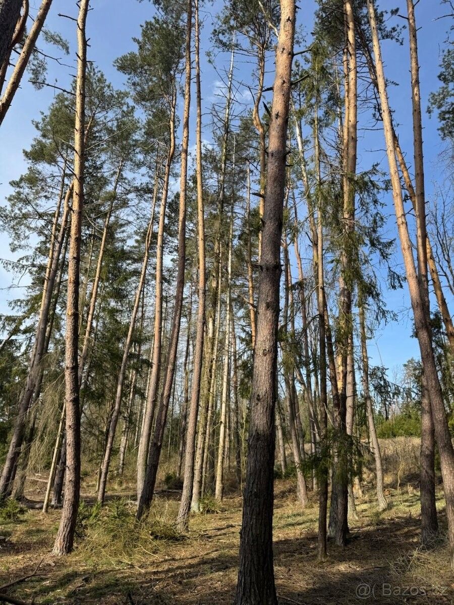 Pozemky pro bydlení, Louňovice pod Blaníkem, 257 06