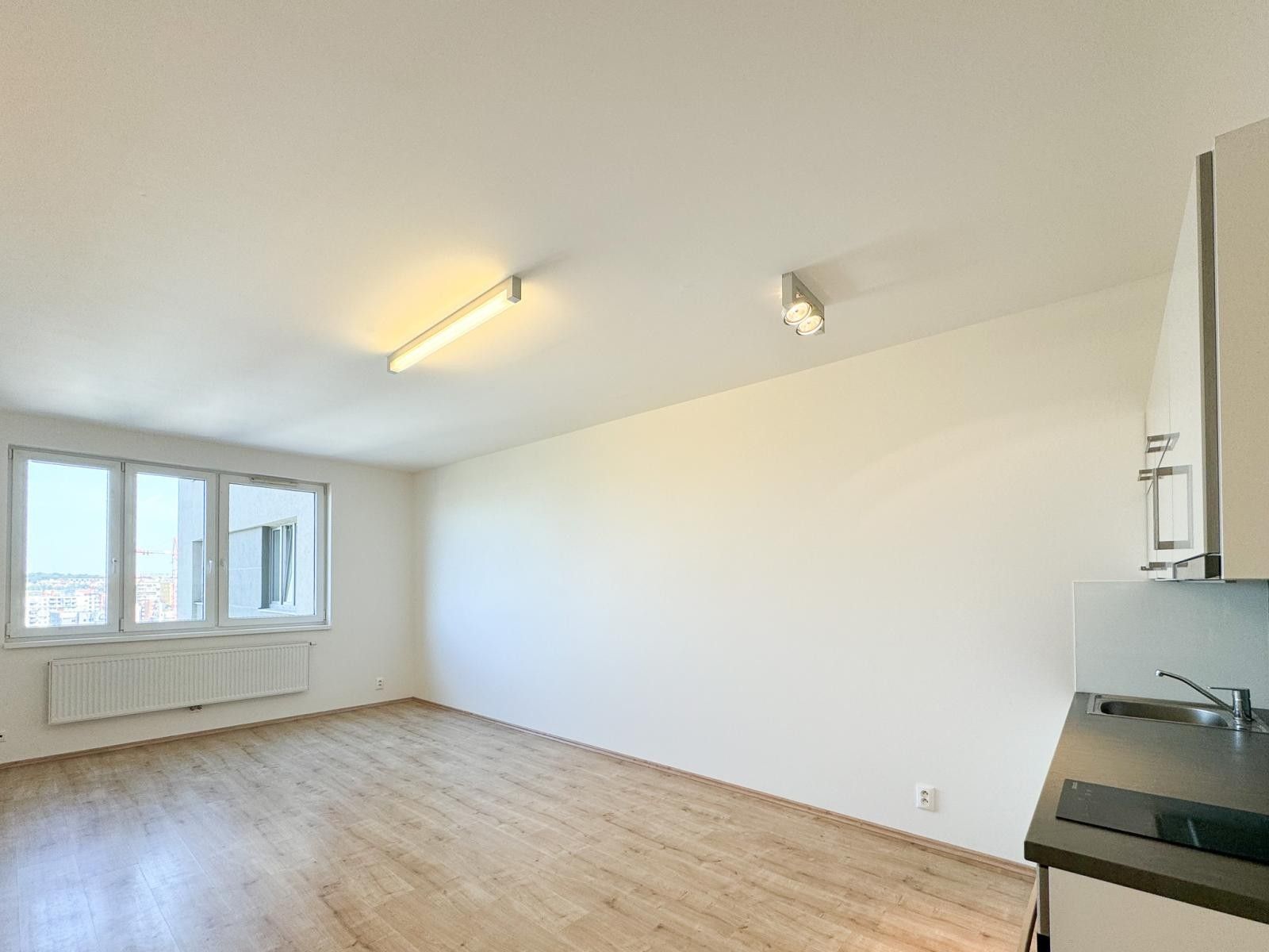 1+kk, Freyova, Praha, 33 m²