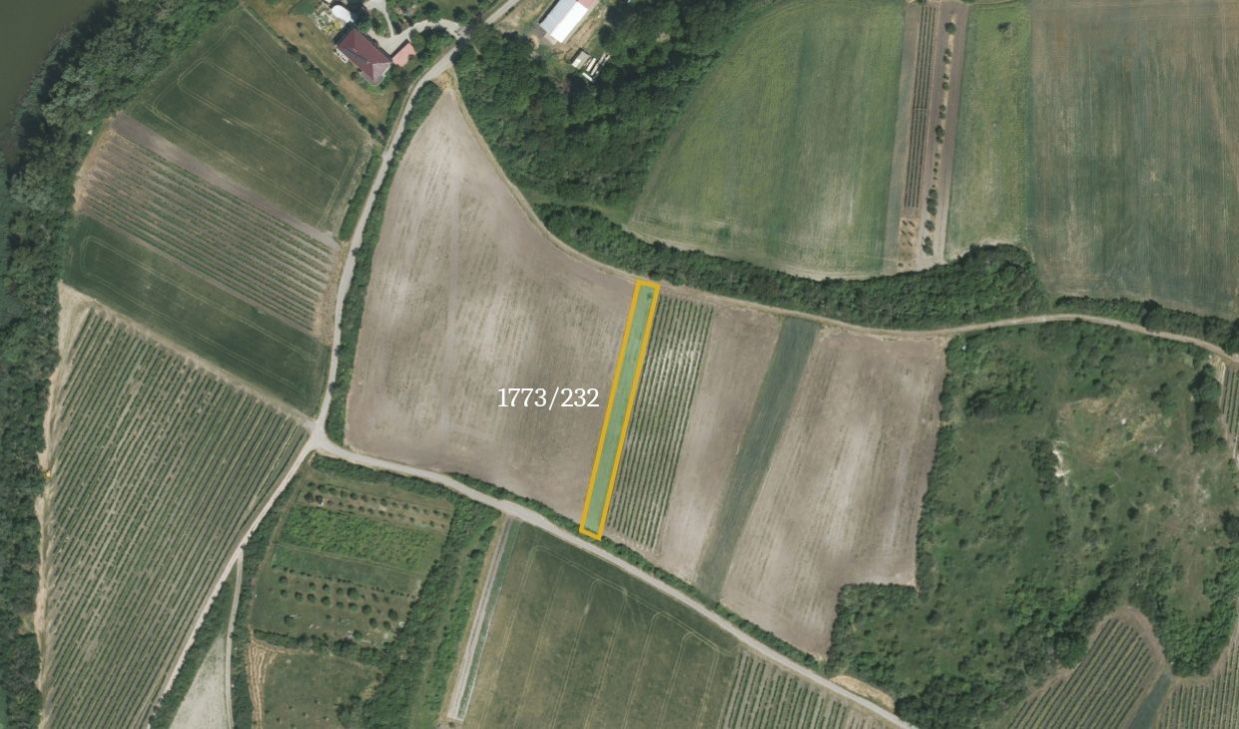 Prodej zemědělský pozemek - Hlohovec, 5 378 m²