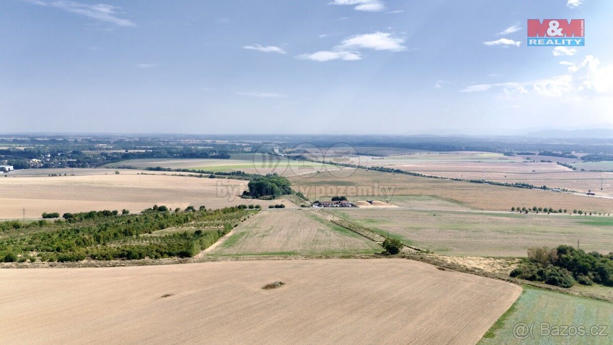 Zemědělské pozemky, Velké Albrechtice, 742 91, 4 085 m²