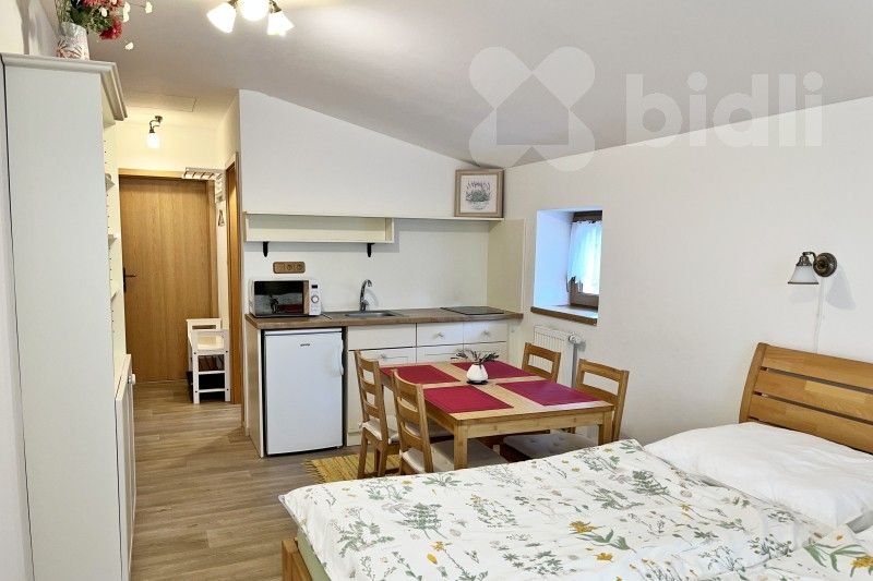 1+kk, Rejta, Trhové Sviny, 25 m²