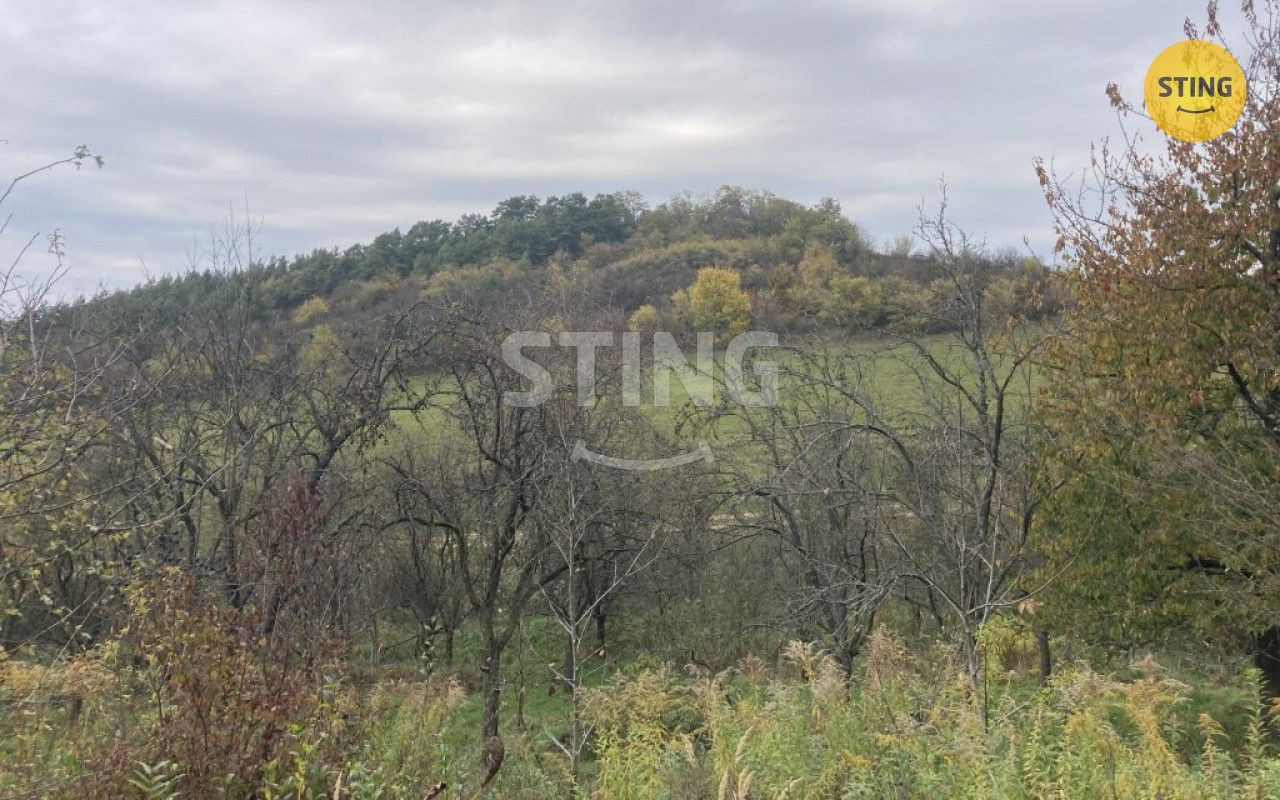 Ostatní, Blišice, Koryčany, 4 839 m²