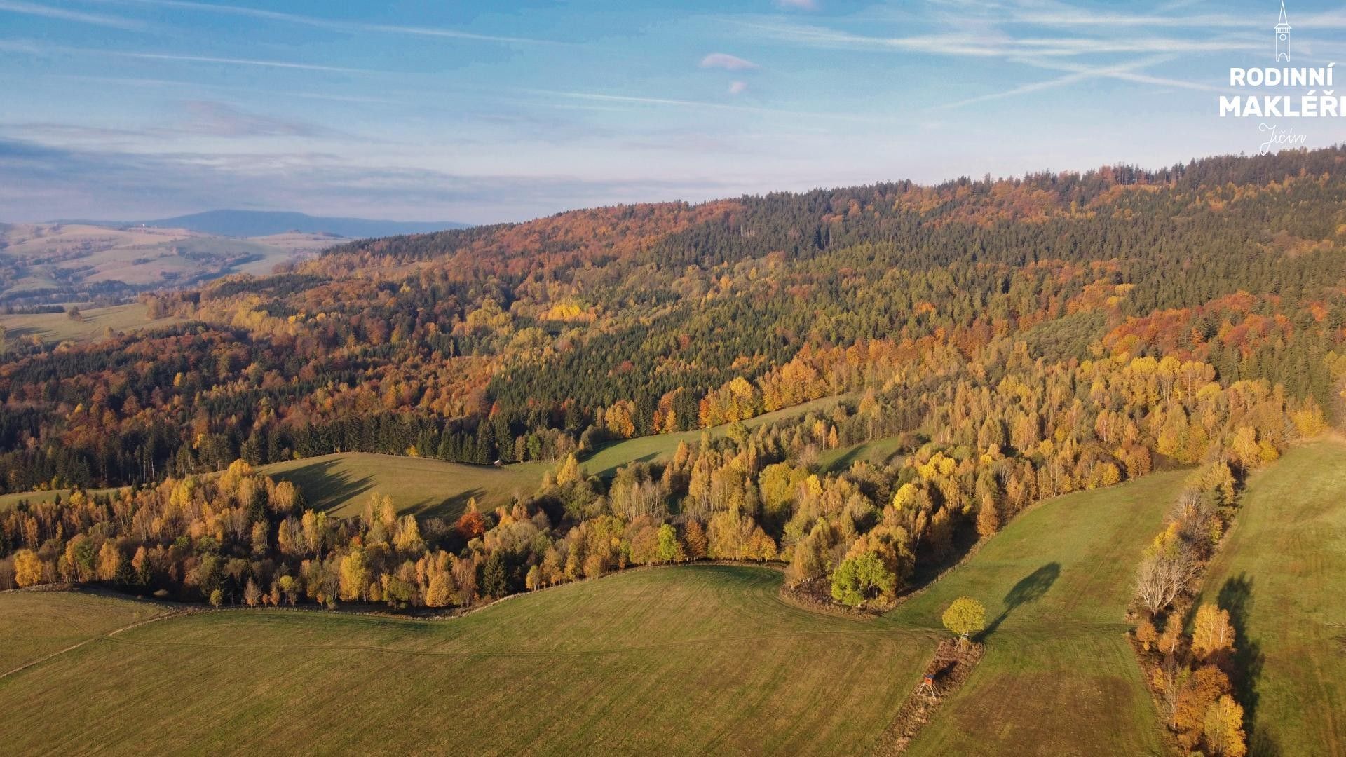 Prodej les - Vojtíškov, Malá Morava