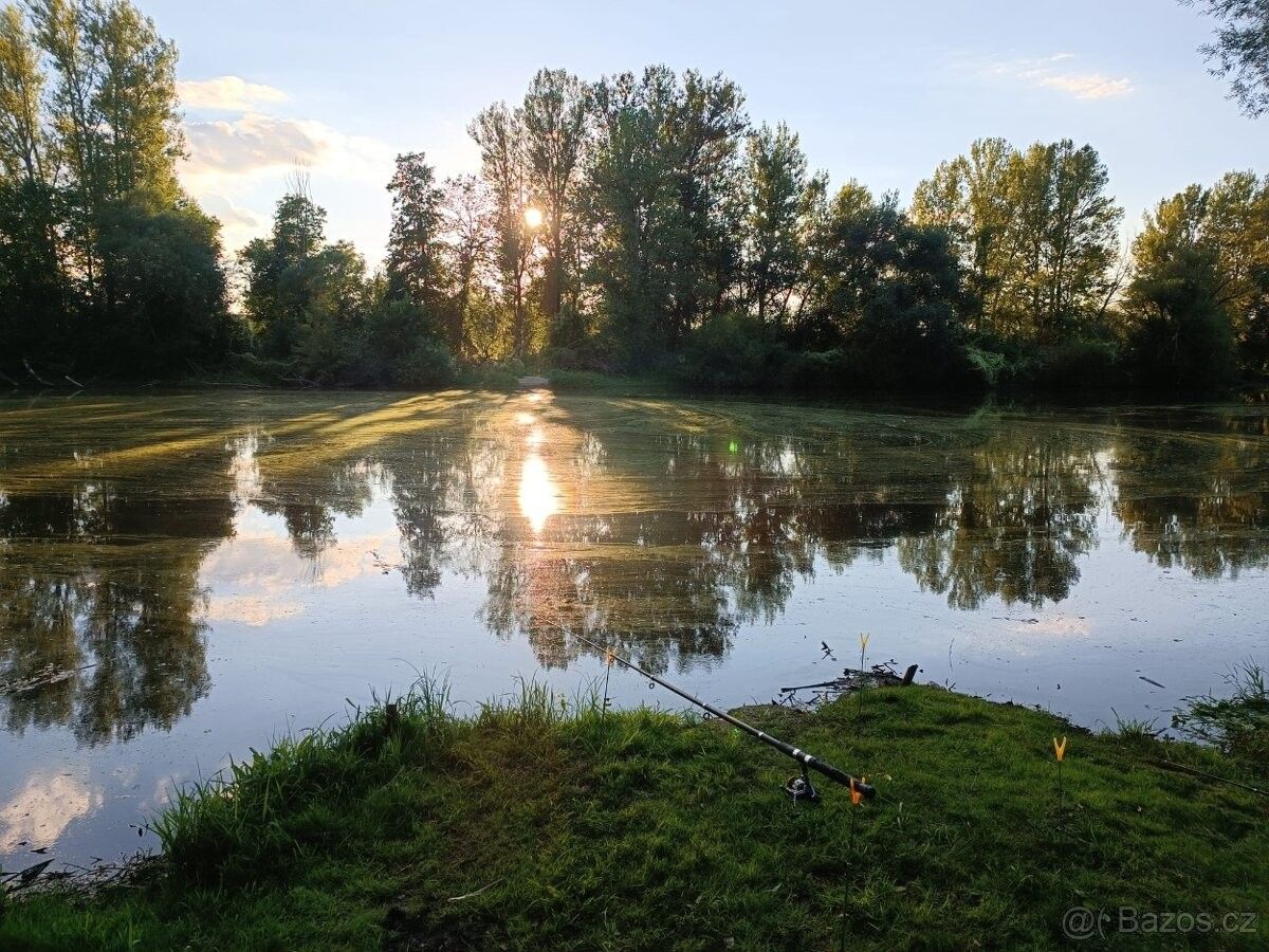 Pronájem zahrada - Jablonec nad Nisou, 466 04