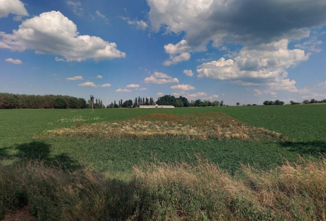 Zahrady, Kášovice, Řepeč, 1 434 m²