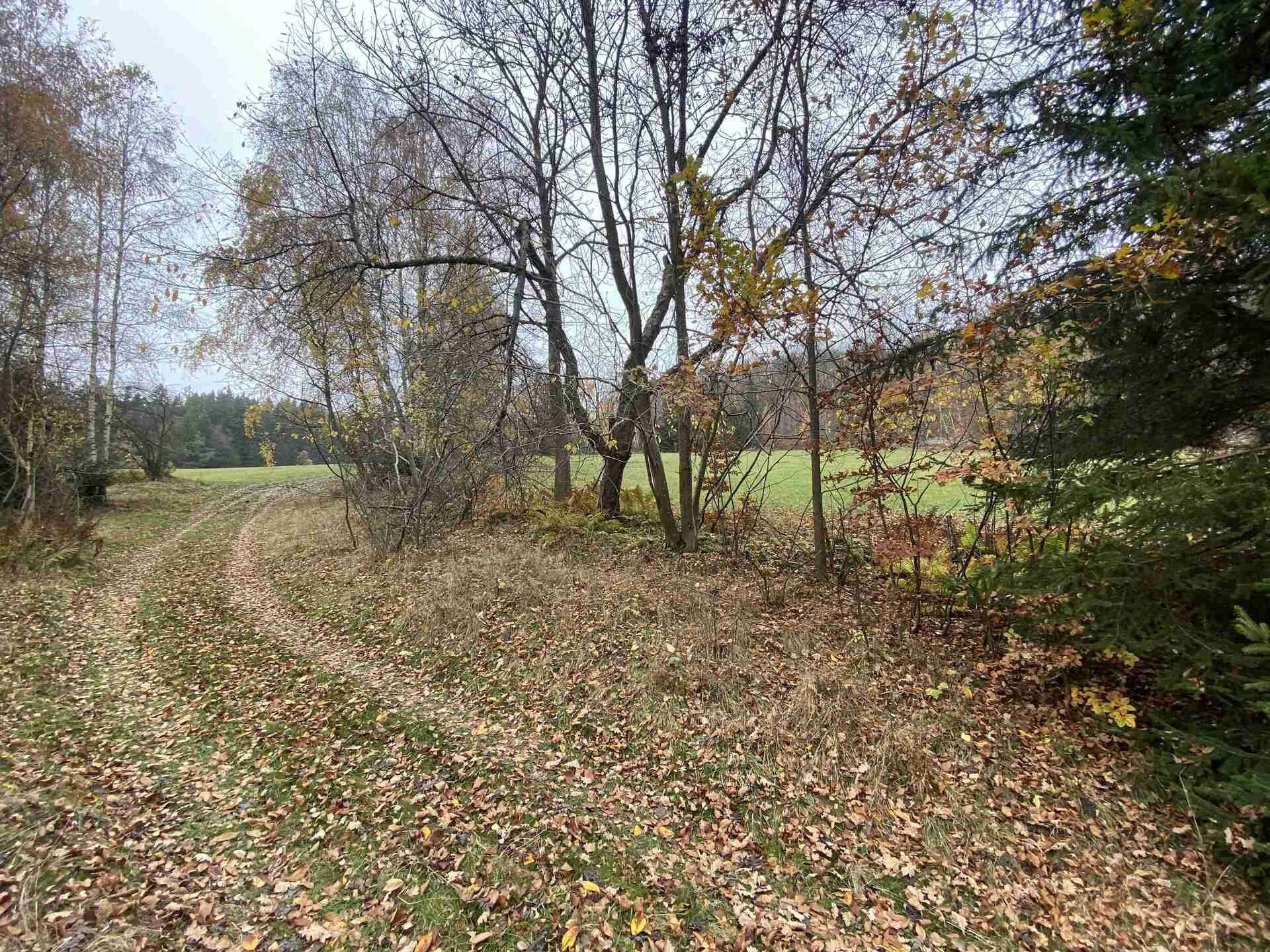 Prodej zemědělský pozemek - Chvalšiny, 1 m²