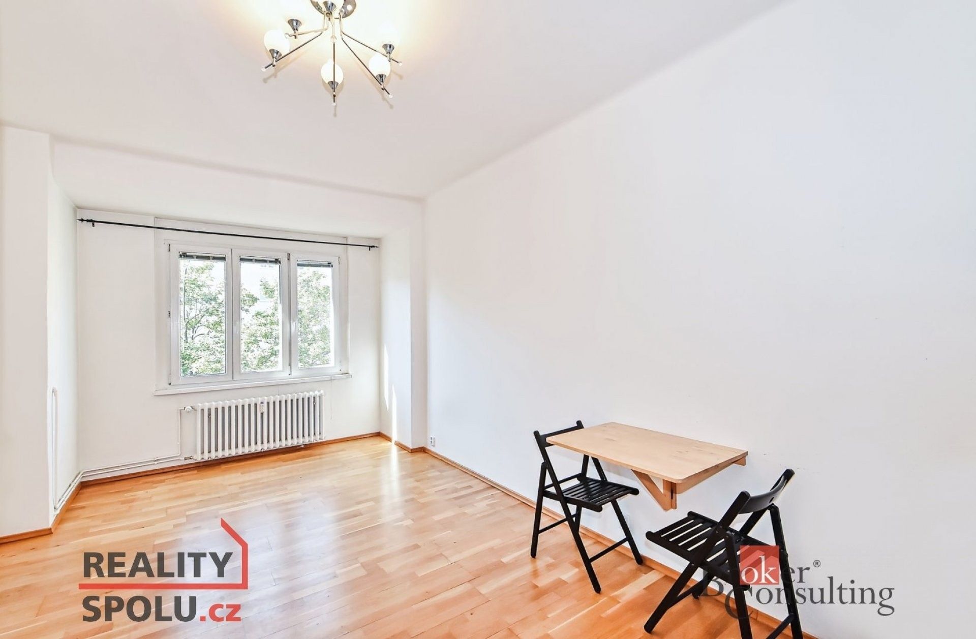 1+kk, Dělnická, Praha, 27 m²