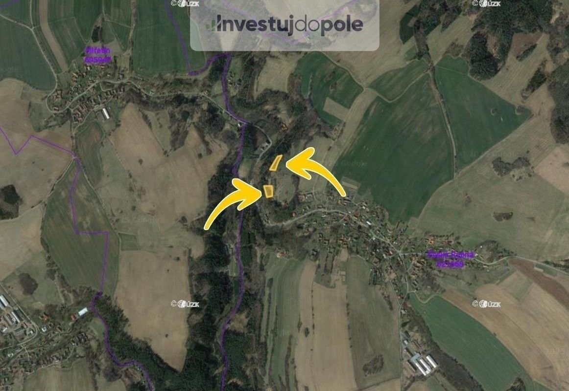 Prodej les - Proseč, 3 539 m²
