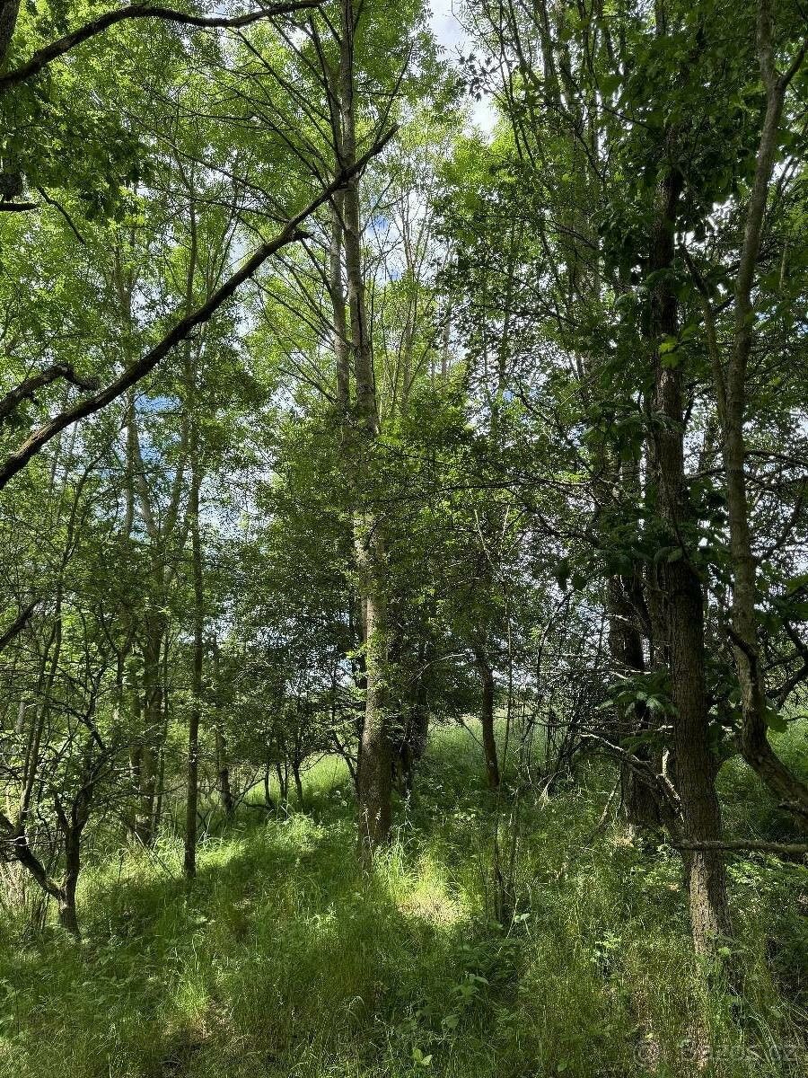Lesy, Suchdol u Prostějova, 798 45, 17 339 m²