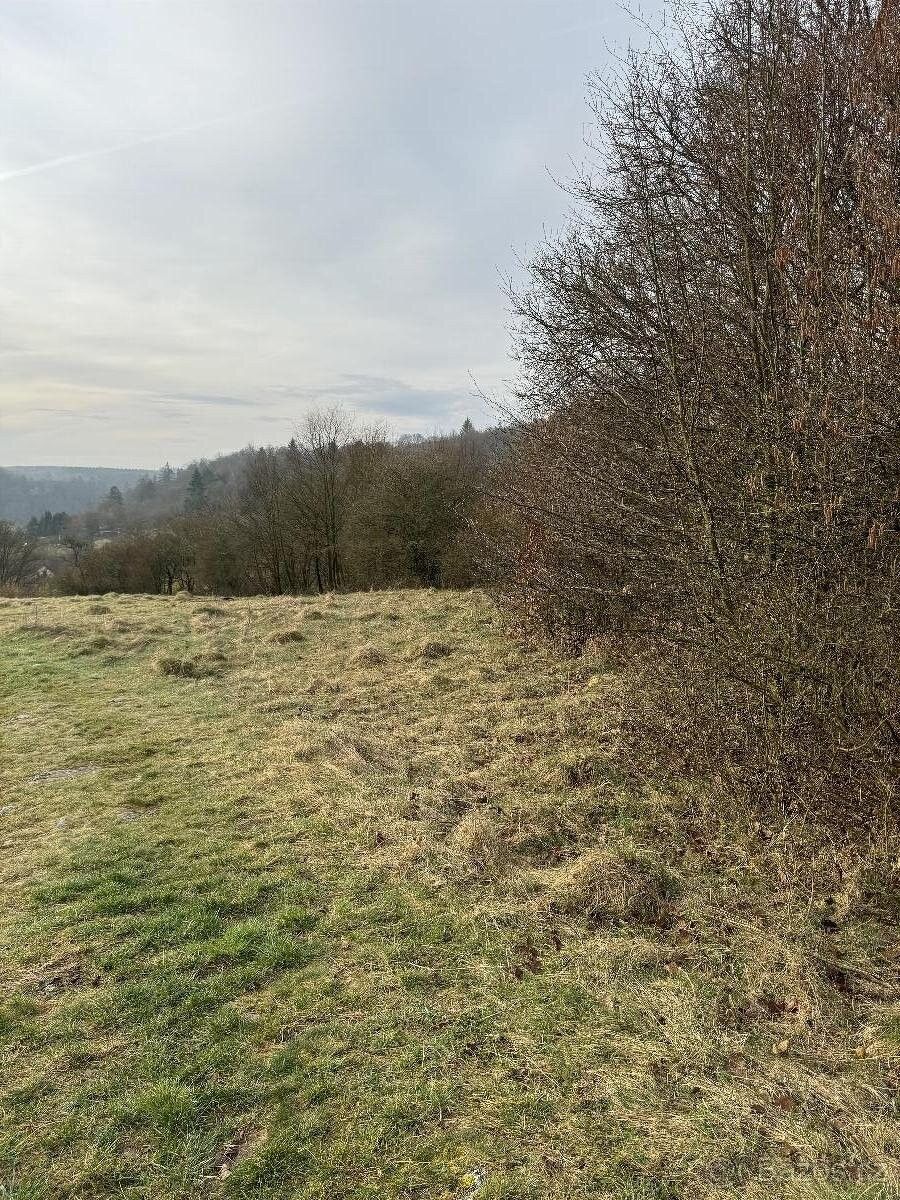 Prodej pozemek pro bydlení - Sloup v Moravském Krasu, 679 13