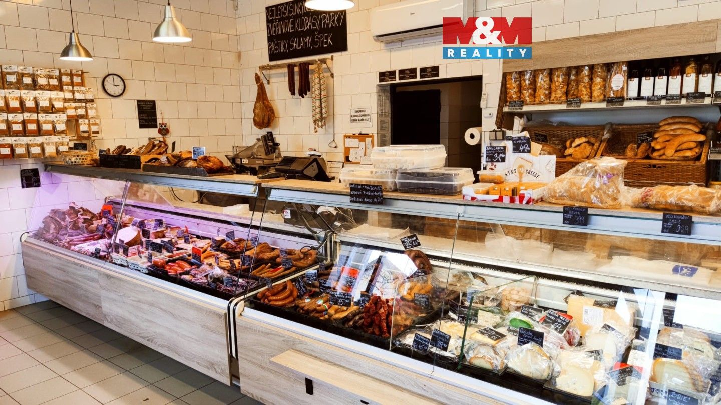 Obchodní prostory, Spálená, Praha, 245 m²