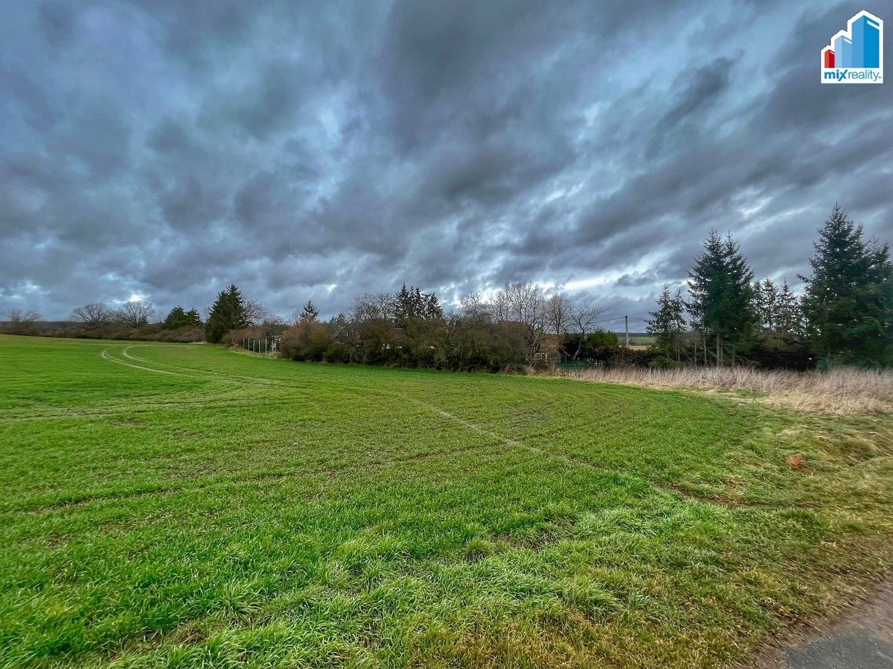 Prodej zemědělský pozemek - Březová, Heřmanova Huť, 32 493 m²