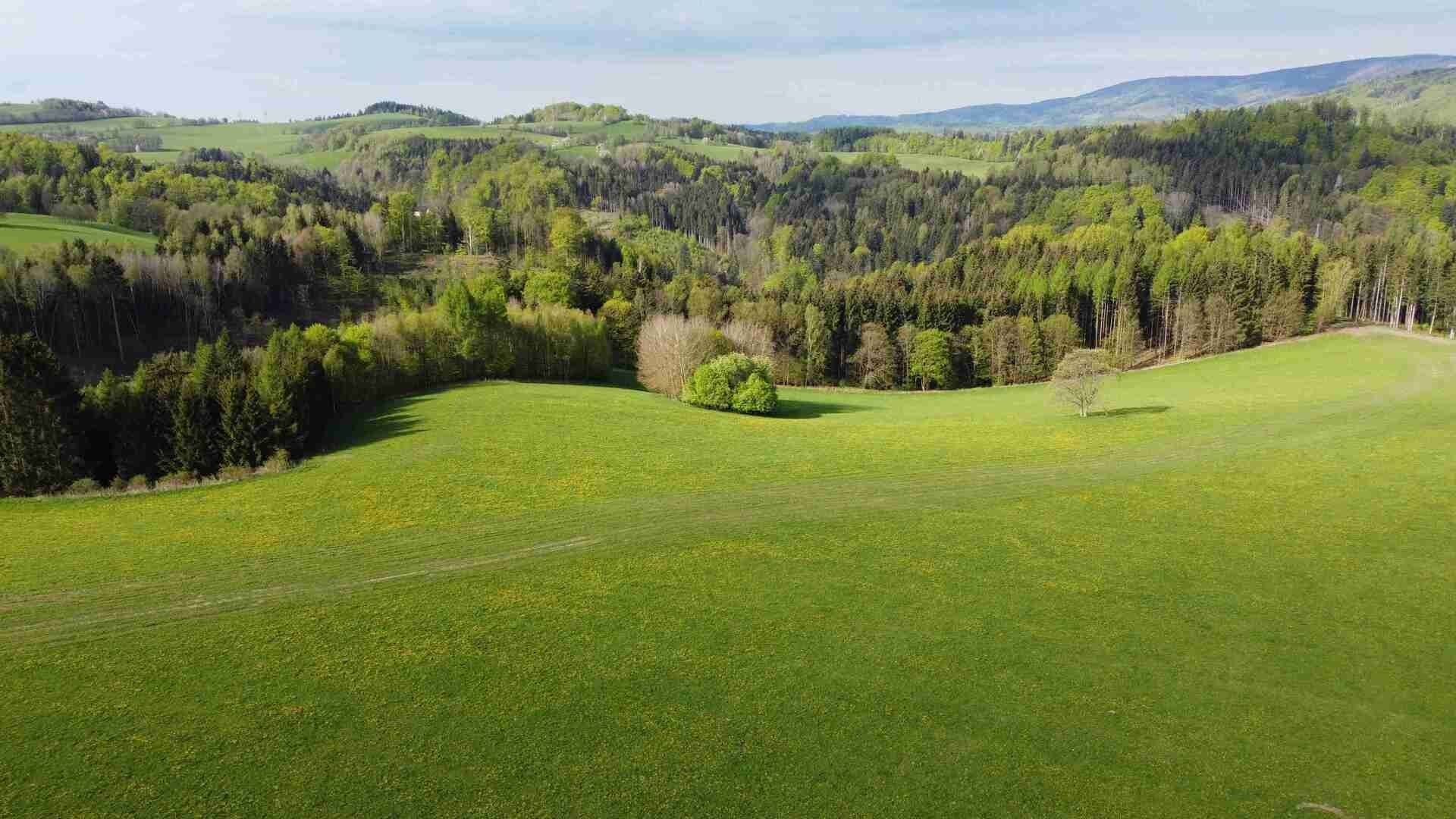 Prodej zemědělský pozemek - Hynčice nad Moravou, Hanušovice, 15 879 m²