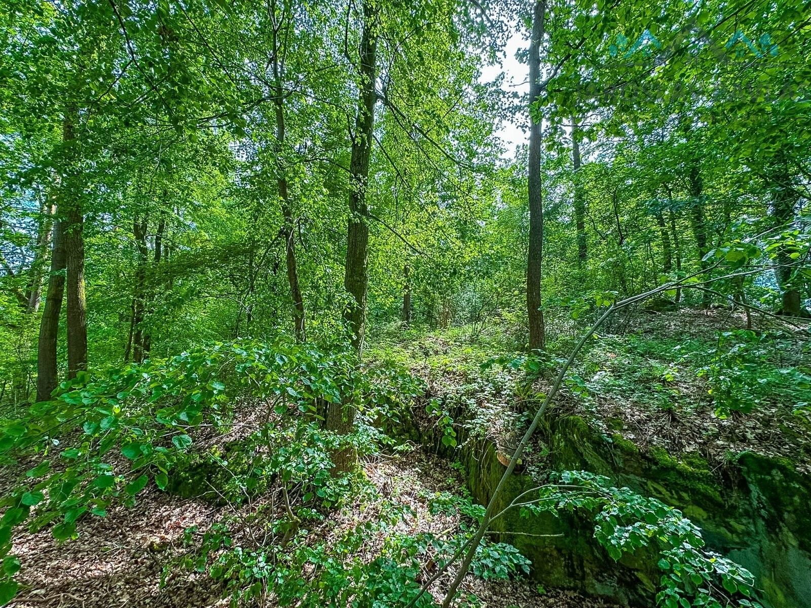 Prodej zemědělský pozemek - Chlum u Třeboně, 62 775 m²