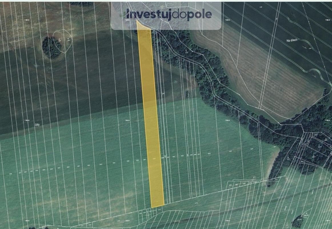 Prodej zemědělský pozemek - Doubravice nad Svitavou, 679 11, 4 567 m²