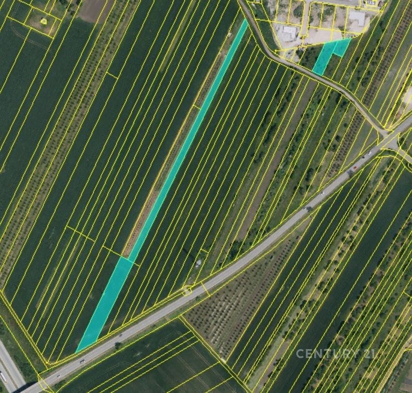 Zemědělské pozemky, Velké Pavlovice