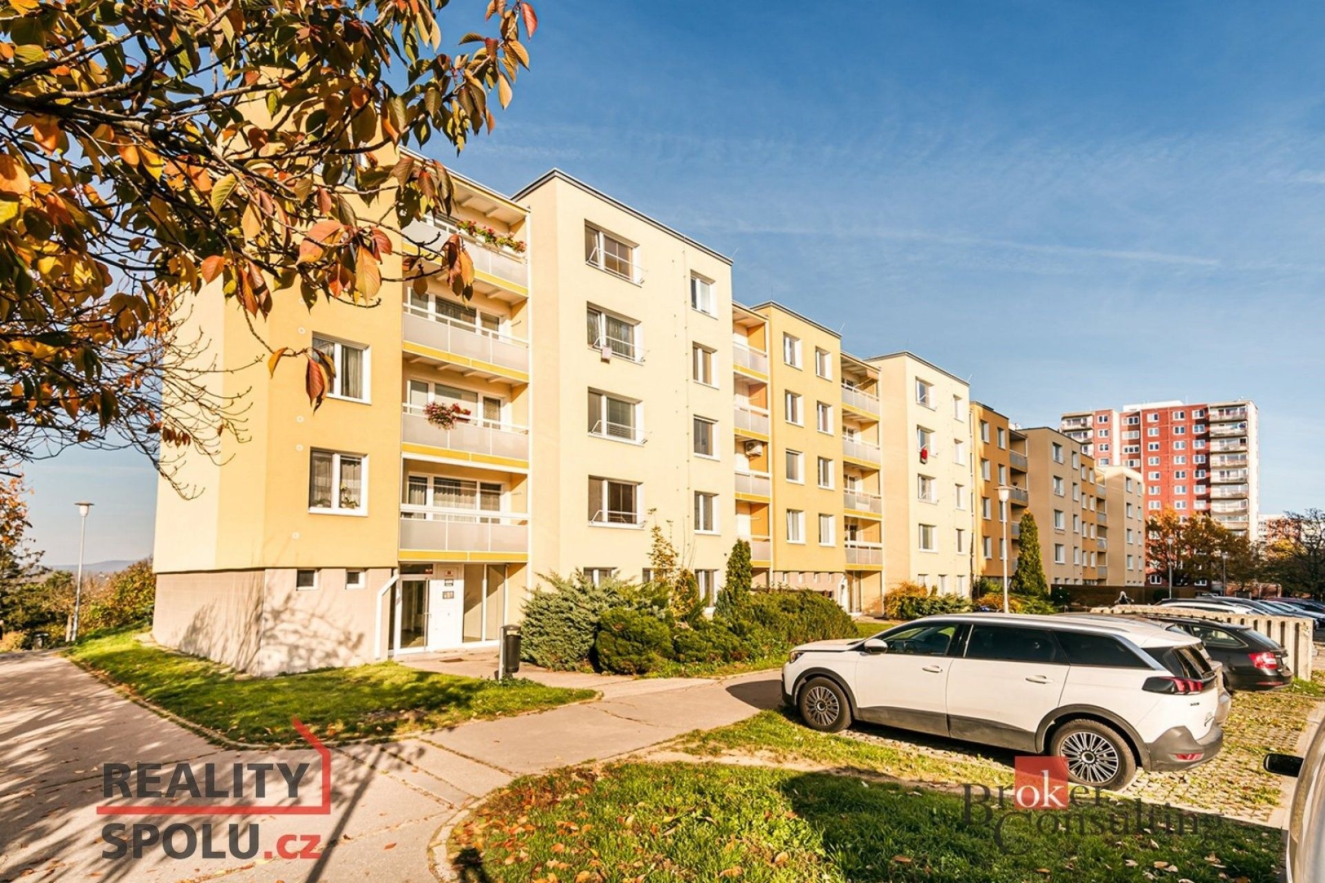 Pronájem byt 1+kk - Prušánecká, Brno, 33 m²