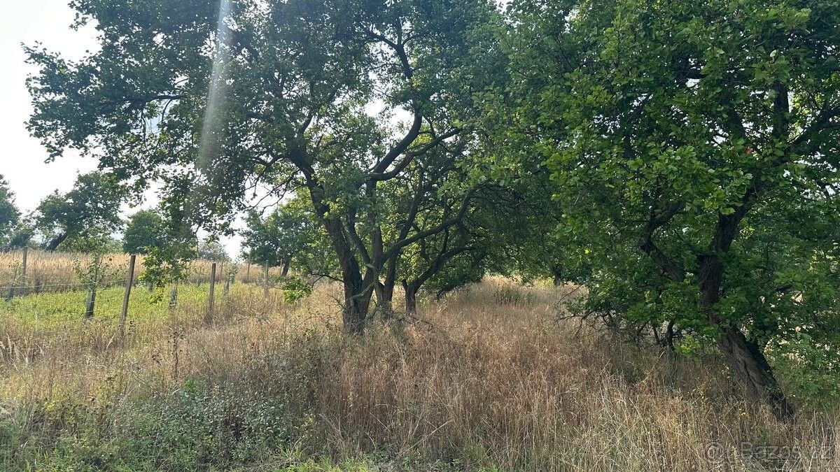 Zahrady, Němčičky u Břeclavi, 691 07