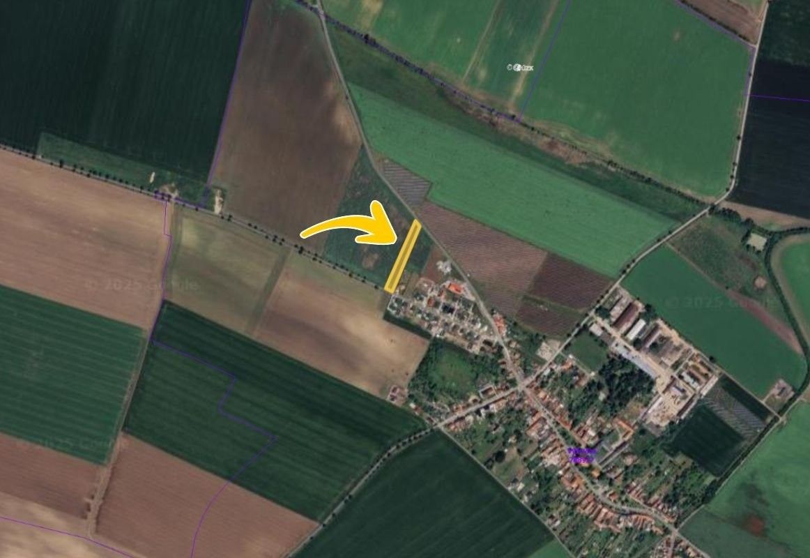 Zemědělské pozemky, Výšovice