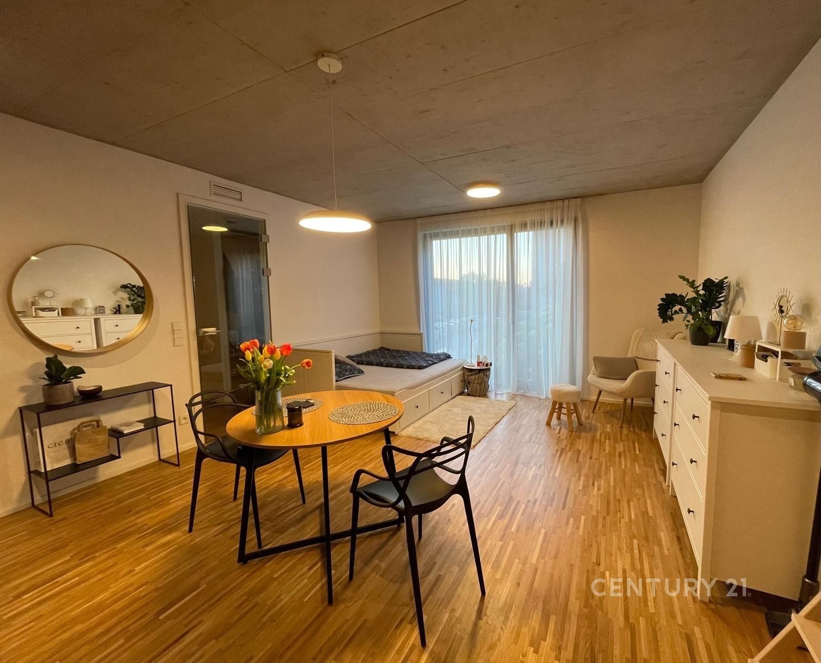 1+kk, Na Třebešíně, Praha, 29 m²