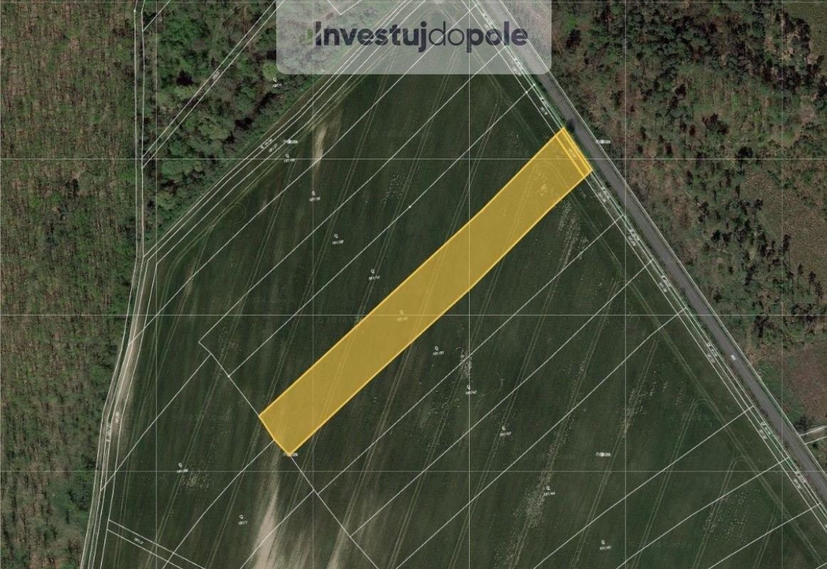 Prodej pozemek - Loučeň, 289 37, 1 594 m²