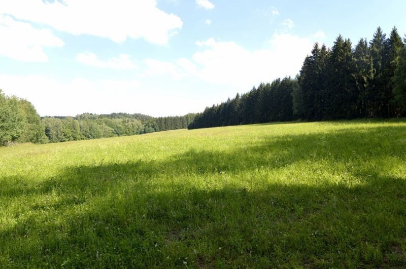 Prodej zemědělský pozemek - Stará Paka, 47 177 m²