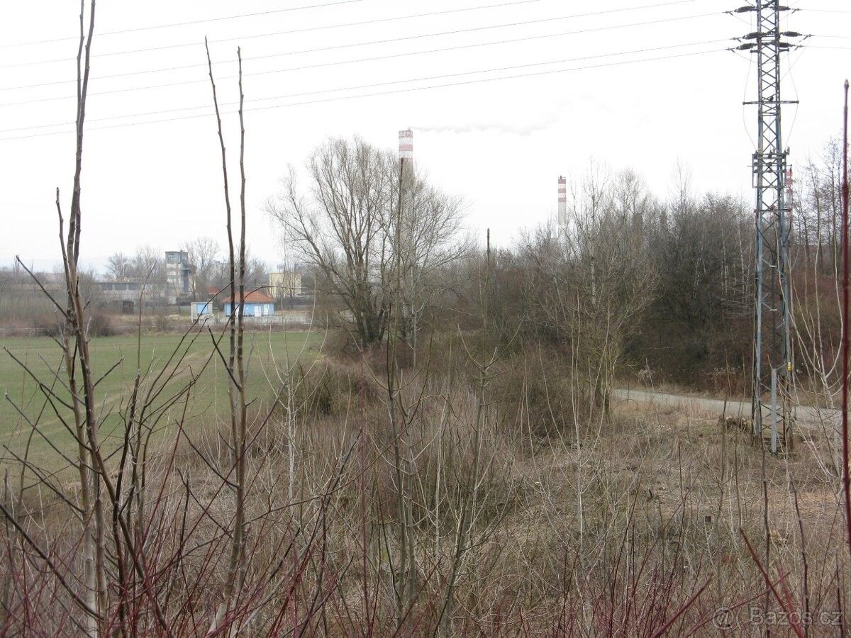 Prodej les - Přerov, 750 02, 5 331 m²