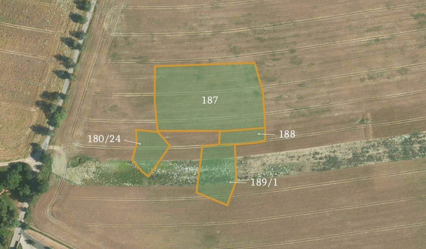 Prodej zemědělský pozemek - Němčice, Loket, 24 154 m²