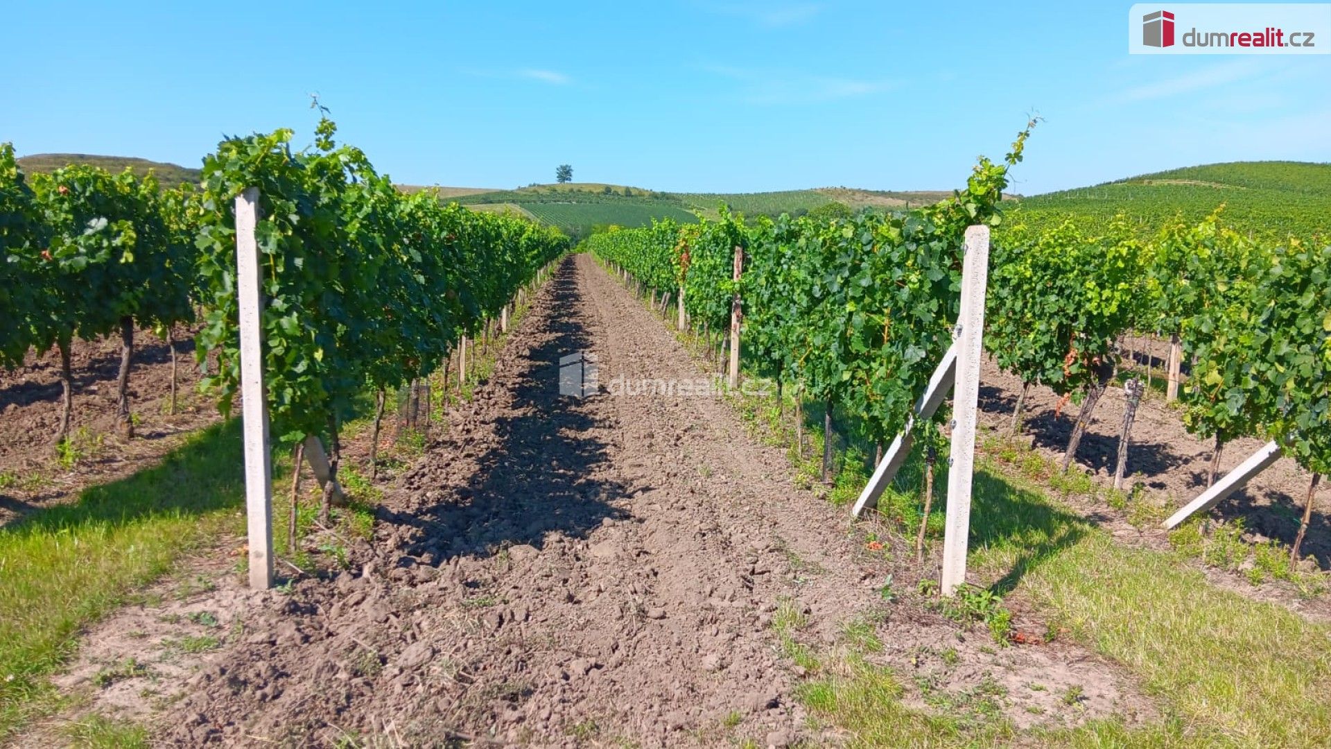 Zemědělské pozemky, Dolní Dunajovice, 20 996 m²