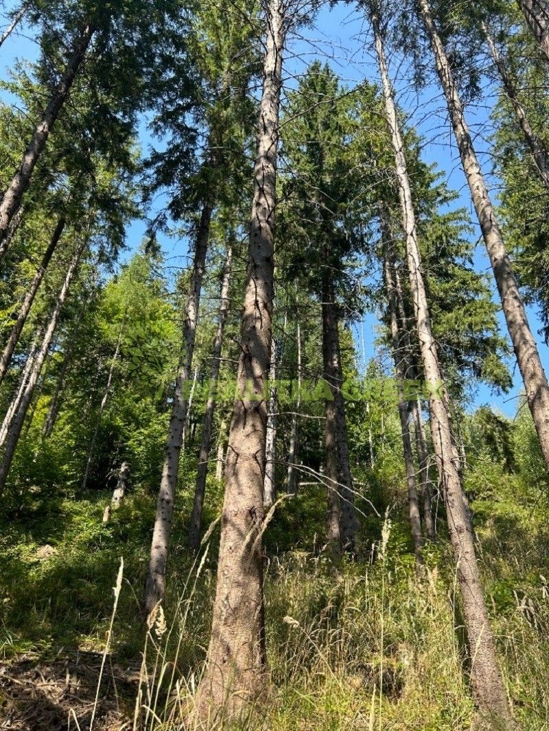 Prodej les - Nýdek, 16 920 m²