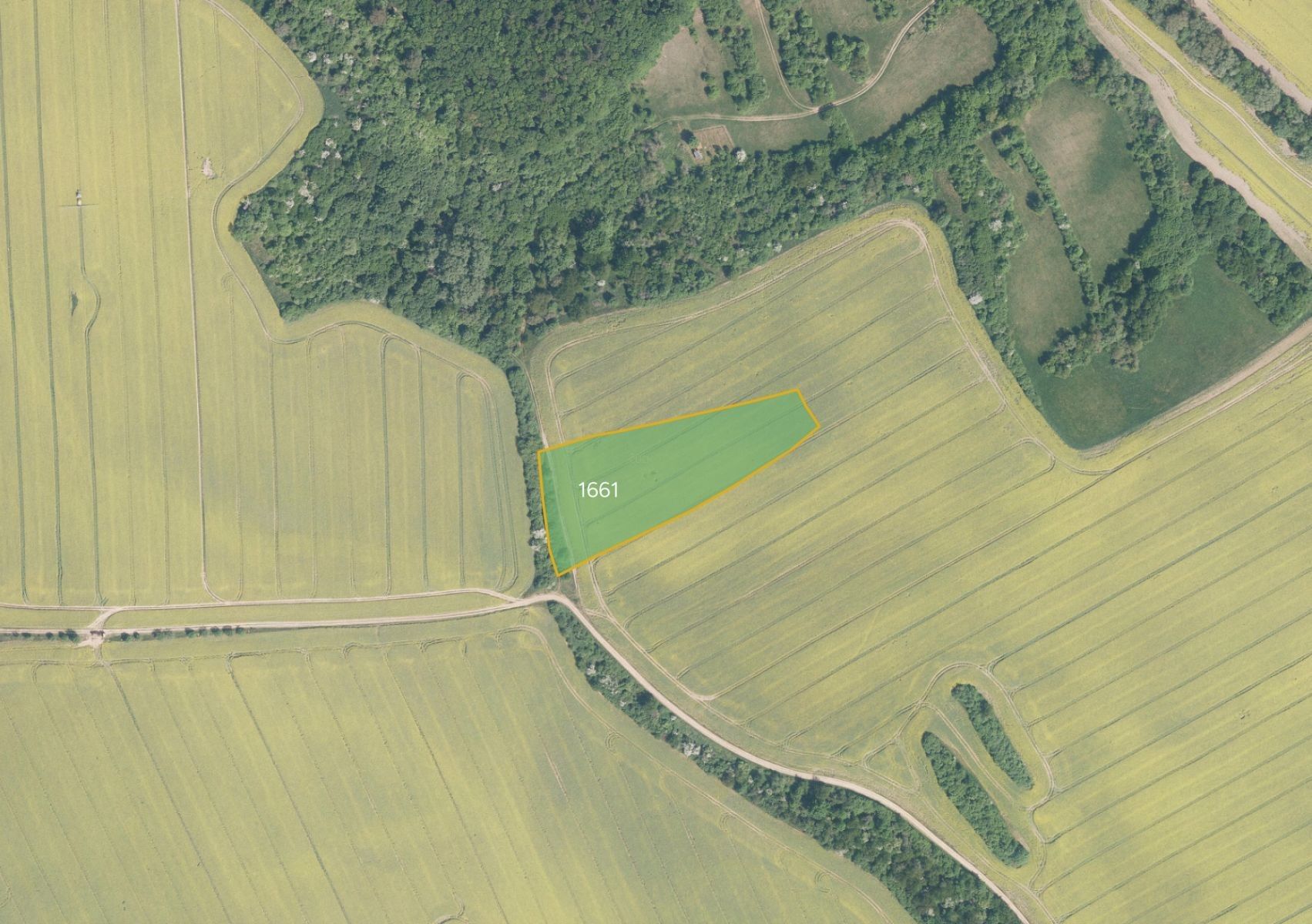 Prodej zemědělský pozemek - Traplice